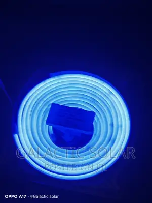 Neon Lights 12vdc