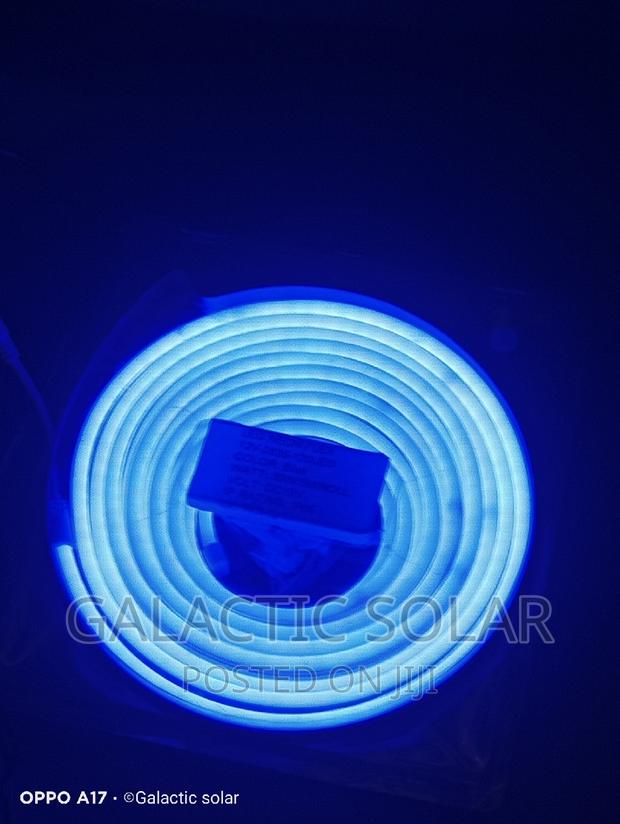 Neon Lights 12vdc