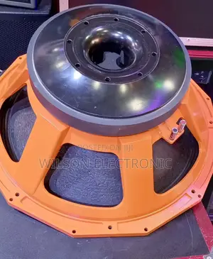PD 21 Inches Naked Speaker.