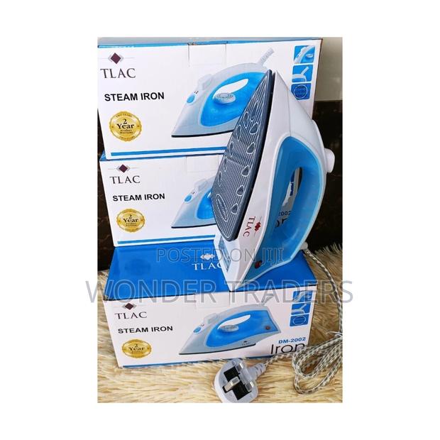 Altac Steamer Iron, Steamer Iron - main view