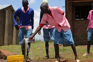 Borehole Drilling and Related Services at Timau