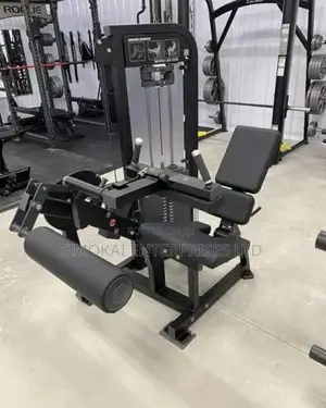 Hammer Strength Dual Leg Curl Plus Leg Extension