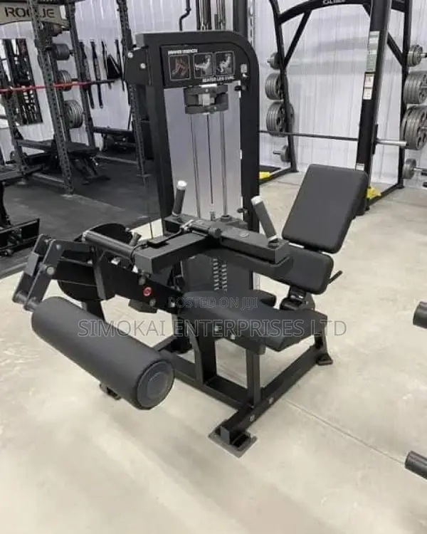 Hammer Strength Dual Leg Curl Plus Leg Extension