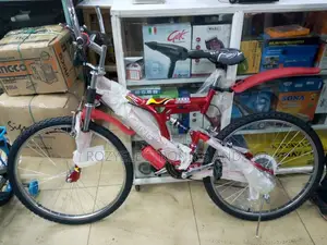 Size 24 Gear and Shock Bike