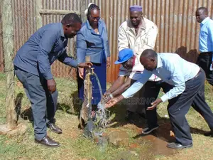 Borehole Drilling Services at Abothunguchi