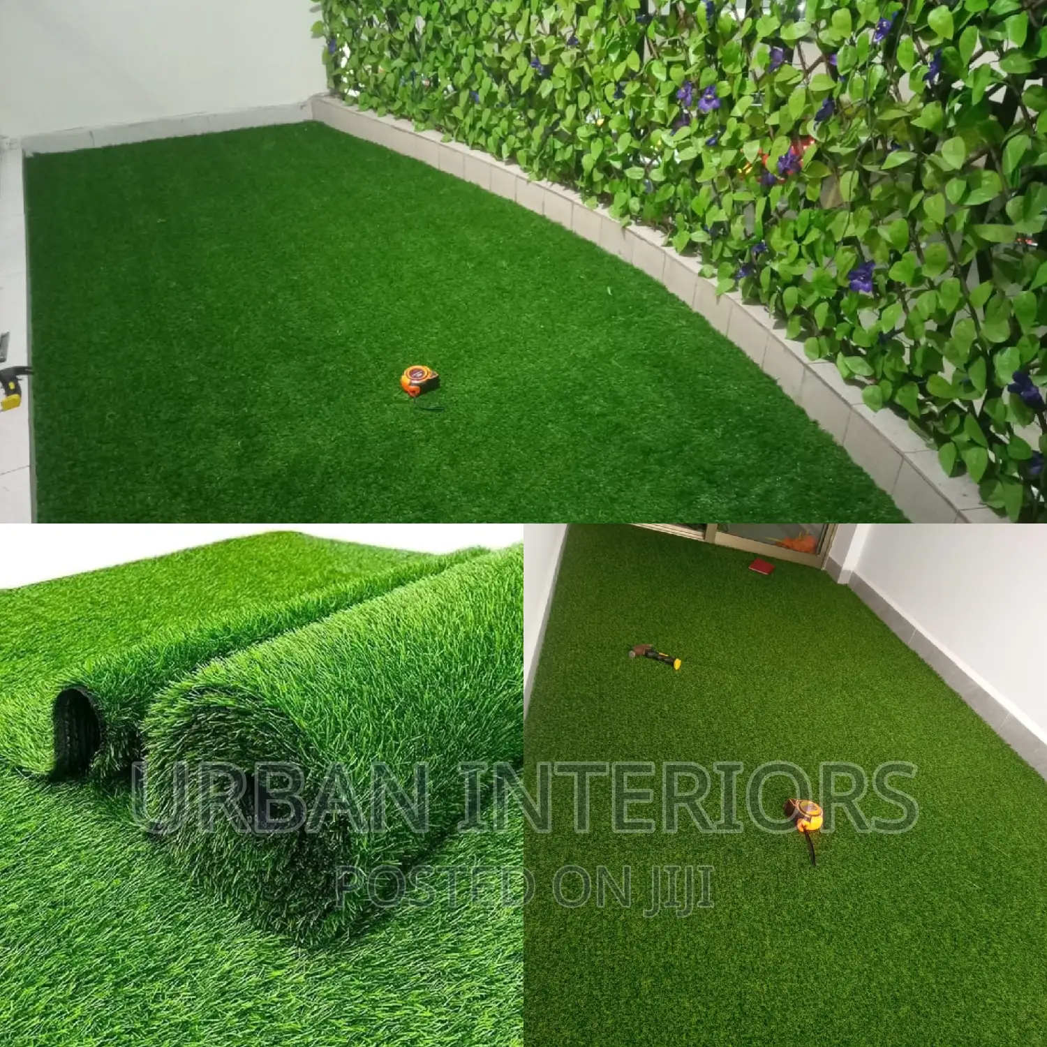 Grass Carpet Grass Carpet Grass Carpet Grass Carpet Grass