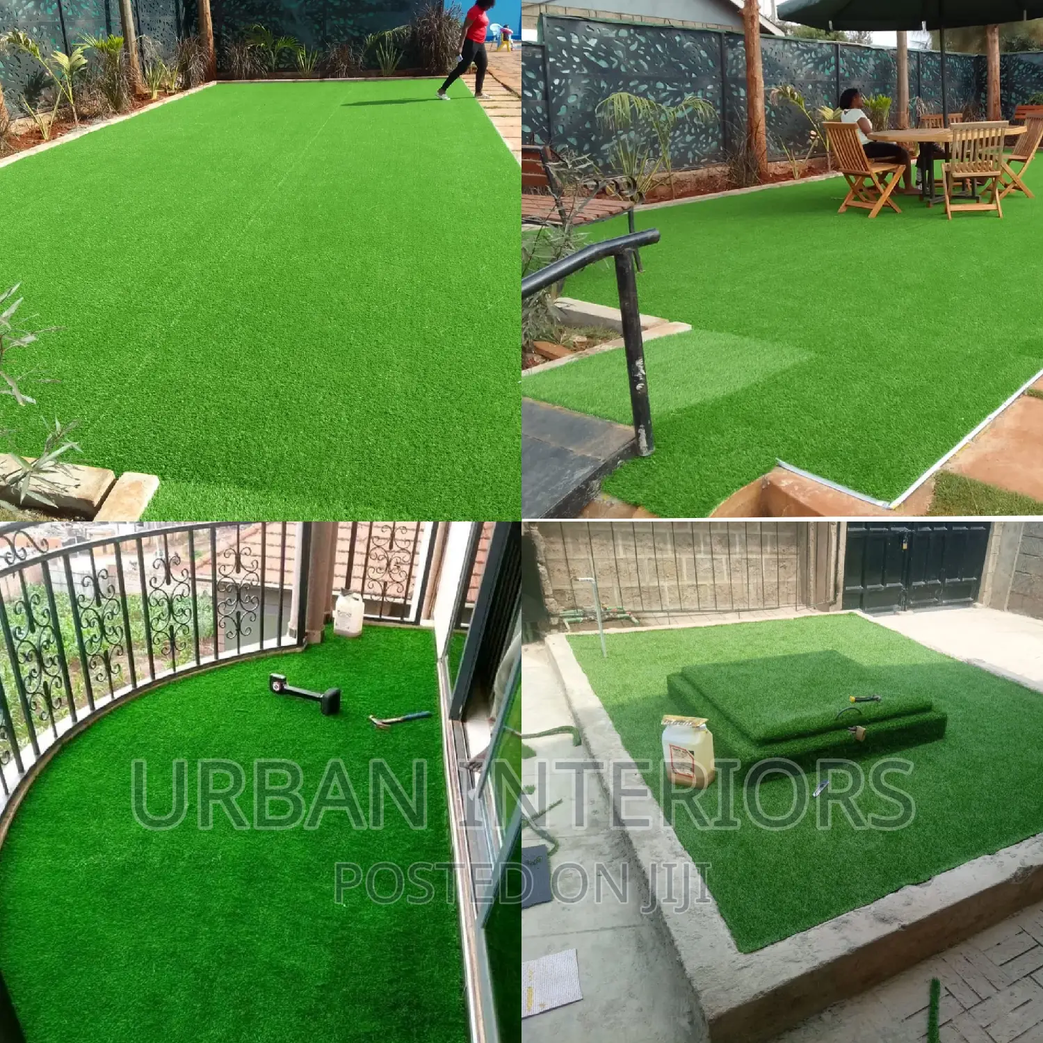 Grass Carpet Grass Carpet Grass Carpet Grass Carpet Grass