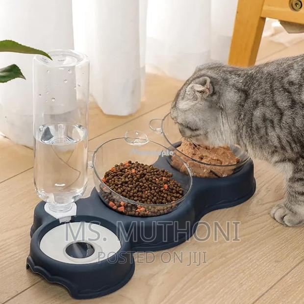 Automatic Double Pet Bowl - main view
