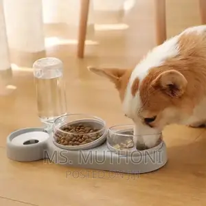 Automatic Double Pet Bowl