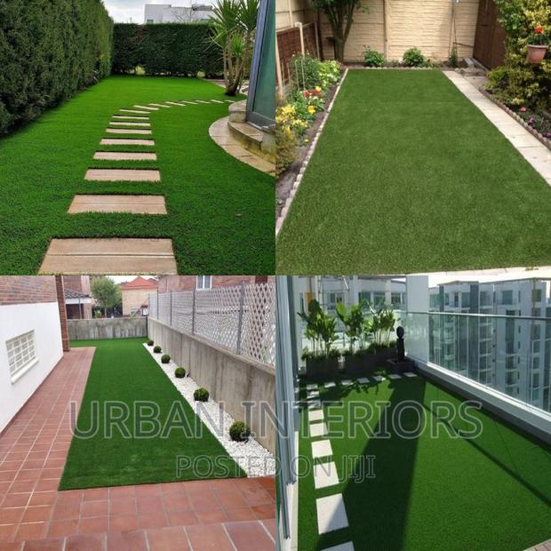 Grass Carpet Grass Carpet Grass Carpet Grass Carpet Grass