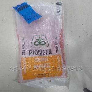 Pioneer Maize Seeds 3253. 2kgs - thumbnail 2