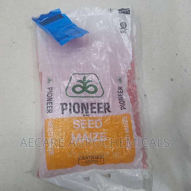 Pioneer Maize Seeds 3253. 2kgs - thumbnail 3