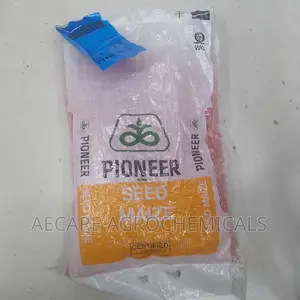 Pioneer Maize Seeds 3253. 2kgs