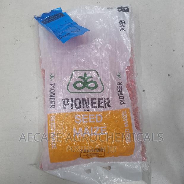 Pioneer Maize Seeds 3253. 2kgs - thumbnail 4