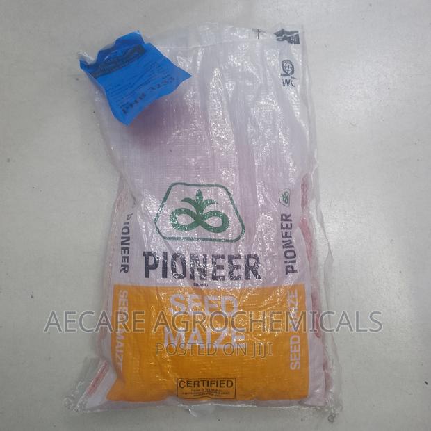Pioneer Maize Seeds 3253. 2kgs - thumbnail 5