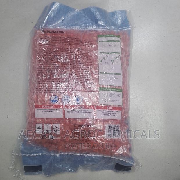 Dk 8031 Maize  Seeds 2kg - thumbnail 2