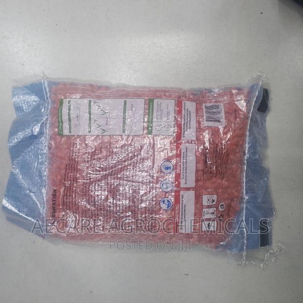 Dk 8031 Maize  Seeds 2kg - thumbnail 3