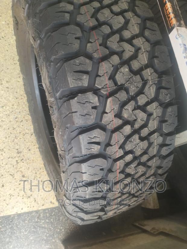 265/65r17blackbear Tyres All Terry