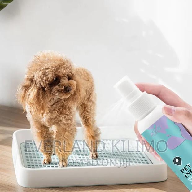 Dog Potty Training Spray - thumbnail 3