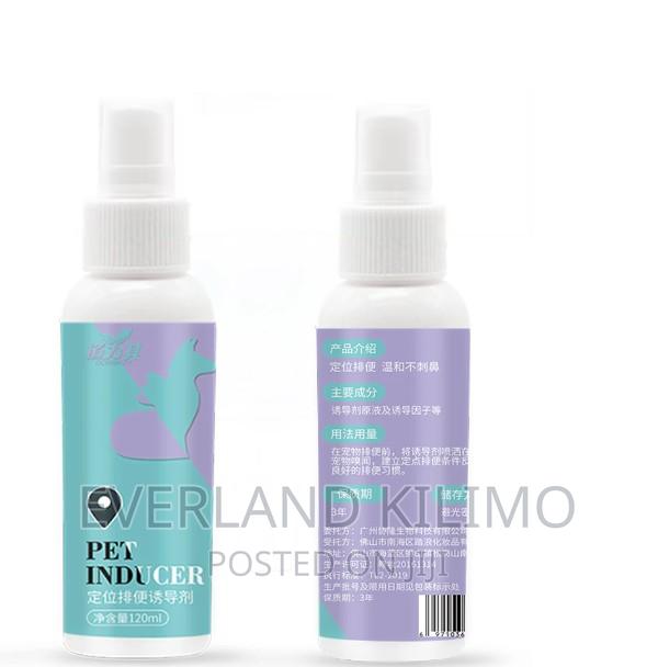 Dog Potty Training Spray - main view