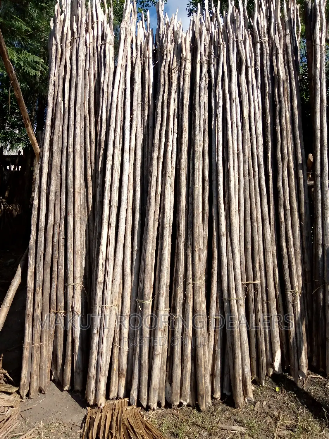Makuti Fundi