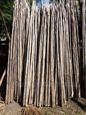 Makuti Fundi