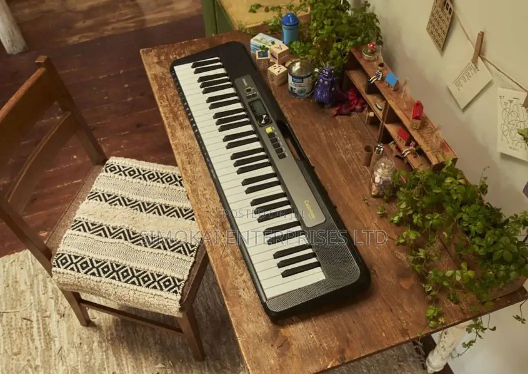 Casio LKS250C2 61-Key Lighting Keyboard