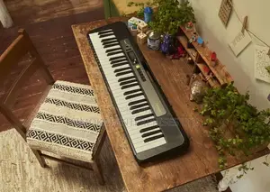 Casio LKS250C2 61-Key Lighting Keyboard