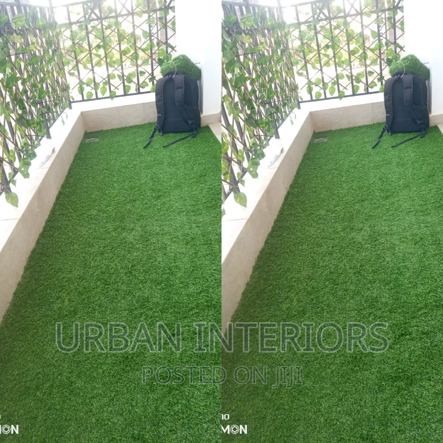 Grass Carpet Grass Carpet Grass Carpet Grass Carpet