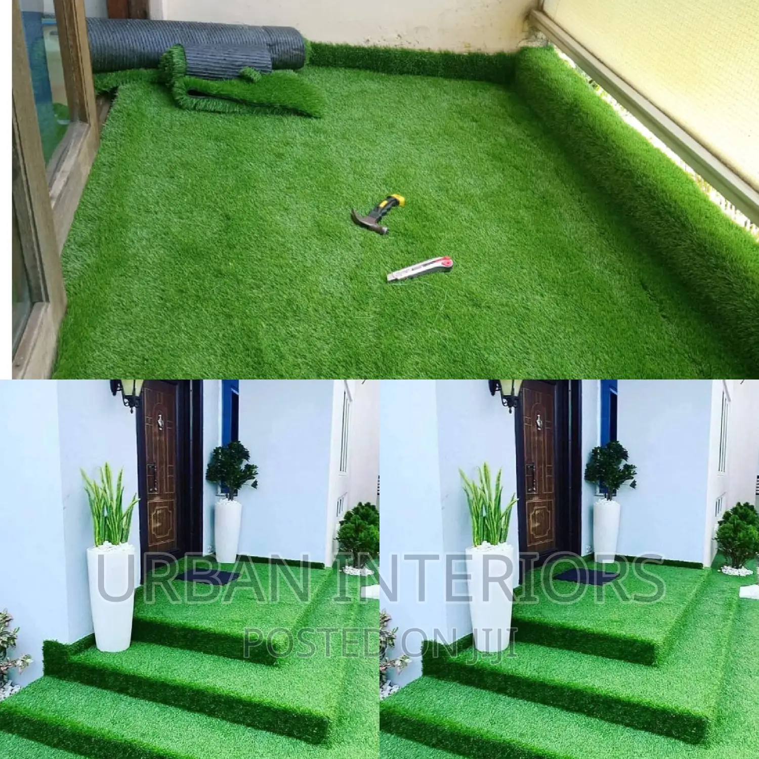 Grass Carpet Grass Carpet Grass Carpet Grass Carpet