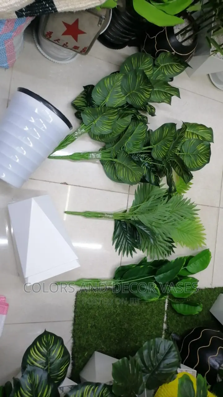 Plants and Planters Variety