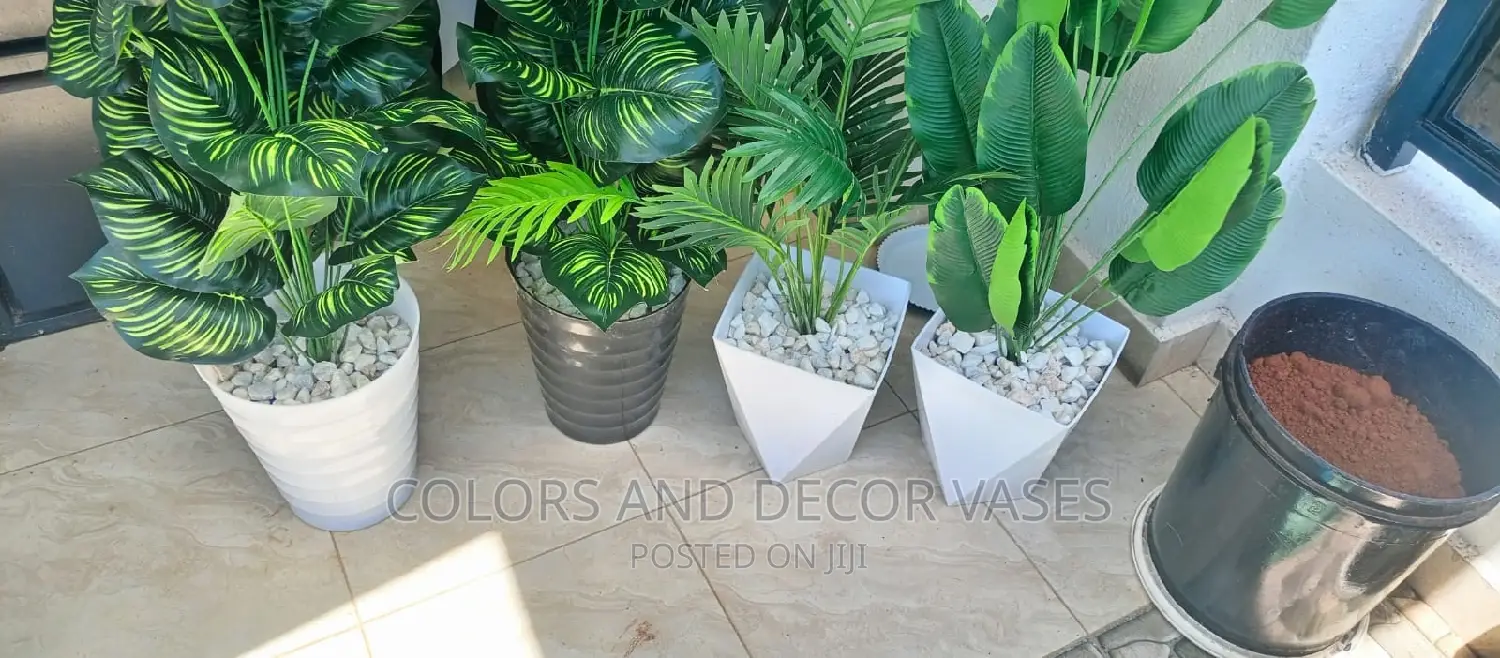 Home Decor Plants and Planters
