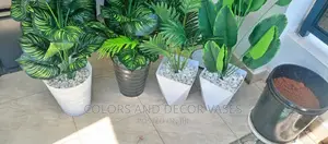 Home Decor Plants and Planters