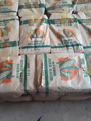 Tsavo 3106 2kg - main view