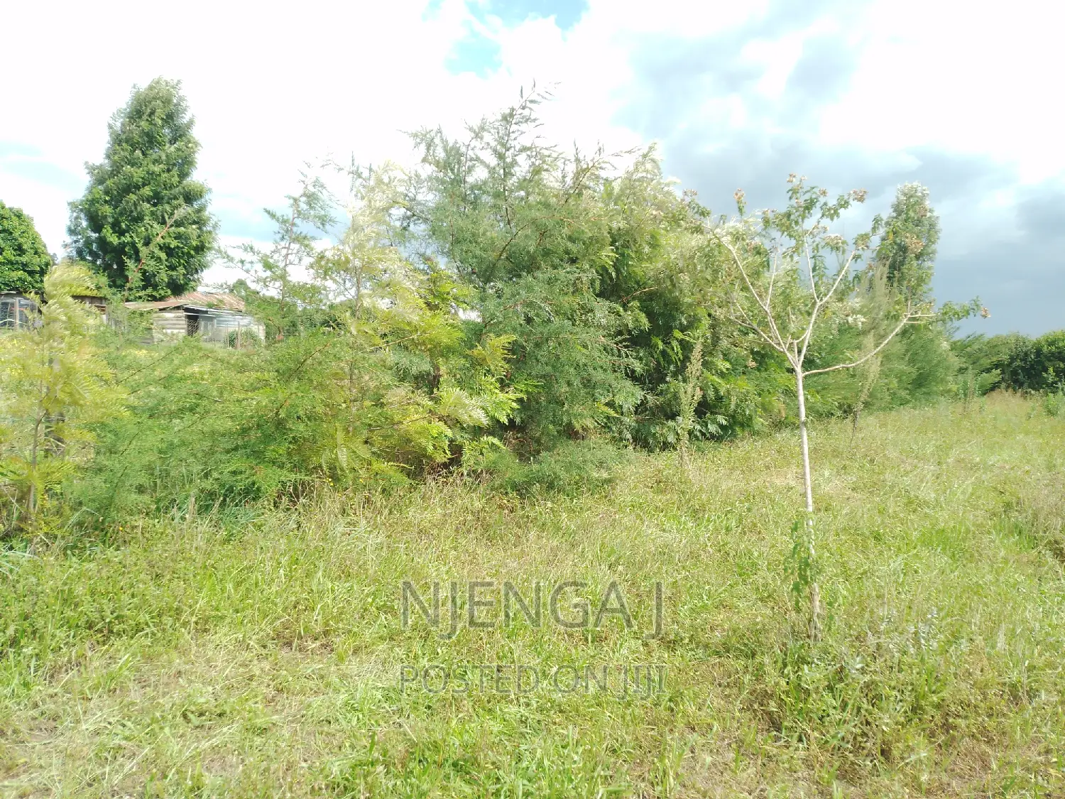 Ngeca Half Acre Land, Chokereria, Gilgil. in Karunga Land & Plots for