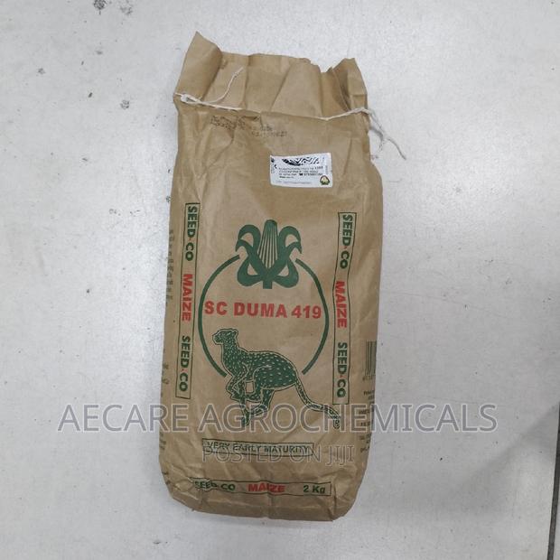 Duma 419 Maize  Seeds 2kgs