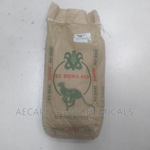 Duma 419 Maize  Seeds 2kgs - thumbnail 4