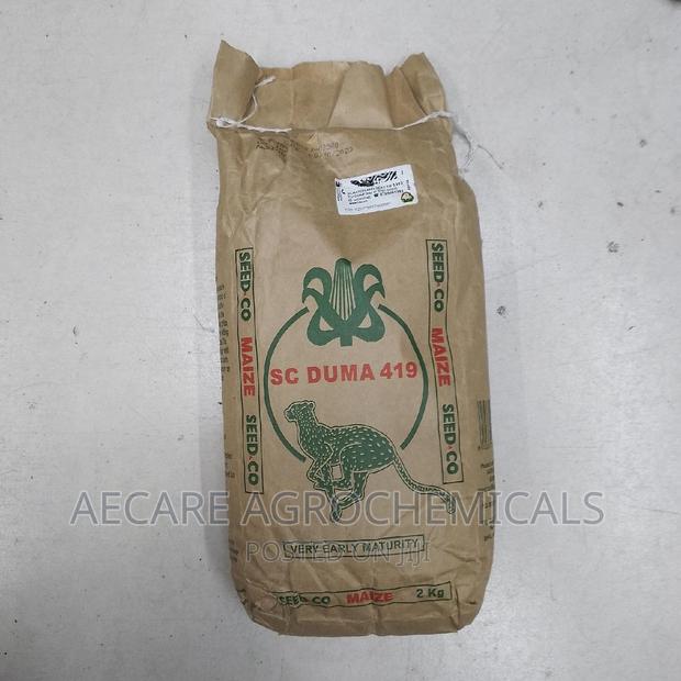 Duma 419 Maize  Seeds 2kgs - thumbnail 3