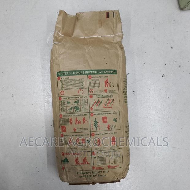 Duma 419 Maize  Seeds 2kgs - thumbnail 2