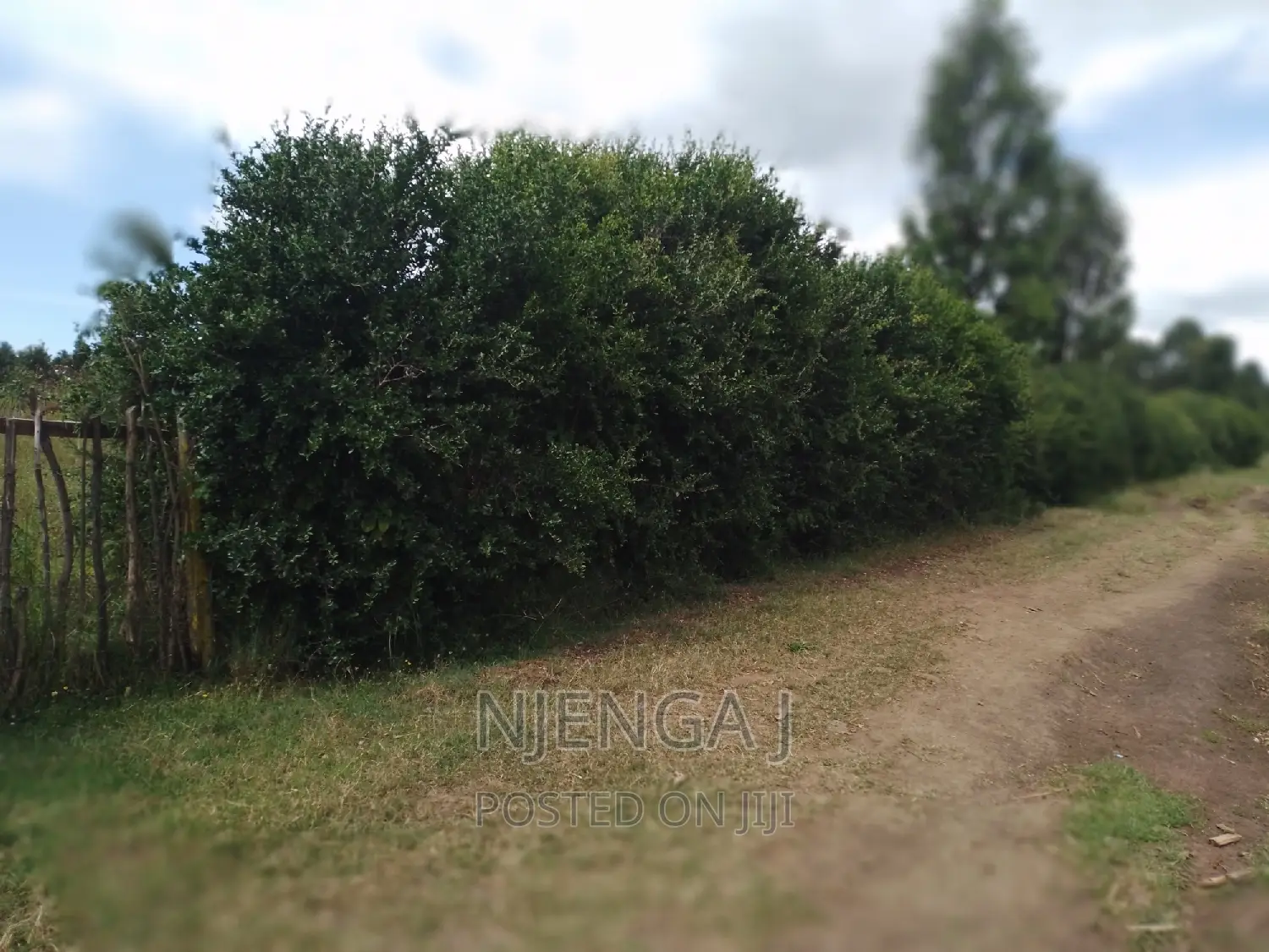Ngeca Half Acre Land, Chokereria, Gilgil. in Karunga Land & Plots for