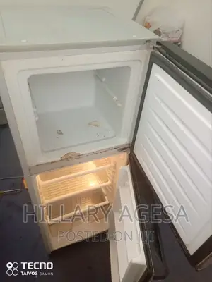 Double Door Fridge Refilling