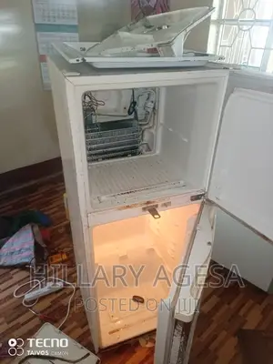 Fridge Wiring and Service