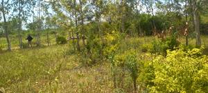 Bondo Atilili School - thumbnail 2