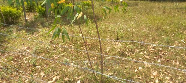 Bondo Atilili School - thumbnail 3