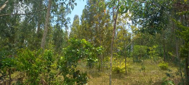 Bondo Atilili School - thumbnail 4