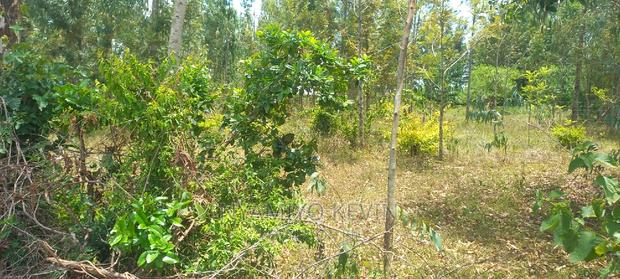 Bondo Atilili School - thumbnail 5