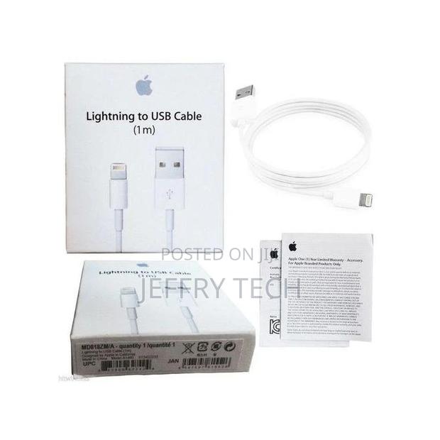Apple Original Lightning to USB Cable - main view