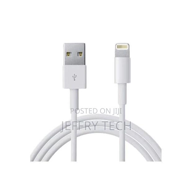 Apple Original Lightning to USB Cable - thumbnail 3