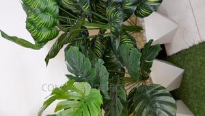 Artificial Plant Offer Price - thumbnail 2