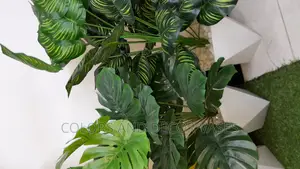 Artificial Plant Offer Price